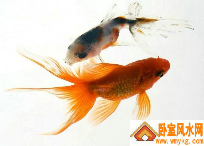 �Ҿӷ�ˮ�в��ؾ�