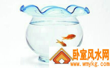 家居风水化煞用品的功能以及禁忌 家居风水化煞用品的功能以及禁忌