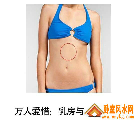 肚脐与胸部之间的胎记 肚脐与胸部之间的胎记