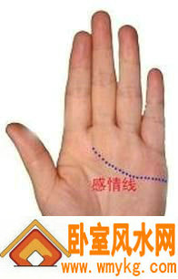 感情线 感情线