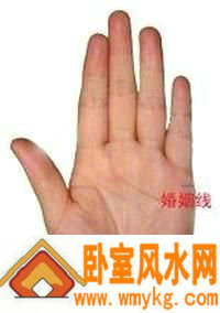 婚姻线 婚姻线