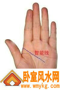 智慧线 智慧线
