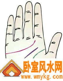 智慧线很短预示着什么? 智慧线很短预示着什么?