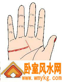 感情线在中指时被一条很清晰的线在末端截断 感情线在中指时被一条很清晰的线在末端截断