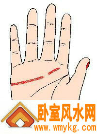 感情线在中指下中断,且两线牵连 感情线在中指下中断,且两线牵连