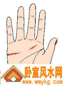 感情线断开,且裂痕太大 感情线断开,且裂痕太大