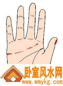 感情线断断续续或呈碎裂状 感情线断断续续或呈碎裂状