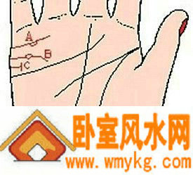 婚姻线上有岛纹代表什么? 婚姻线上有岛纹代表什么?