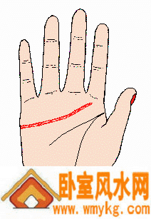 凯帝阿手相算命图解之感情线 凯帝阿手相算命图解之感情线