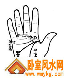 容易走桃花运的几种手相 容易走桃花运的几种手相