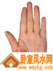 生命线 生命线