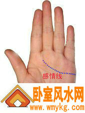 感情线 感情线