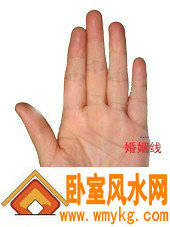 婚姻线 婚姻线