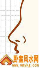 nose10.jpg nose10.jpg