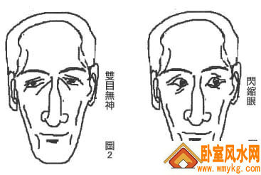 孤峰鼻 孤峰鼻