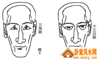 孤峰鼻 孤峰鼻