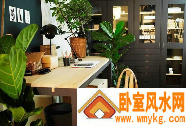 书房风水这样布置 孩子学习稳居上游