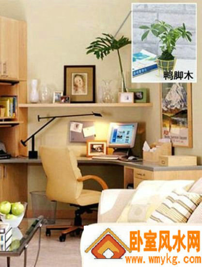 �鷿��ˮ