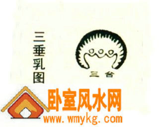 三垂乳形