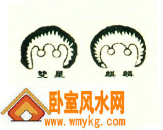 双突穴位