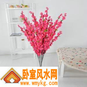 卧室怎么催旺桃花