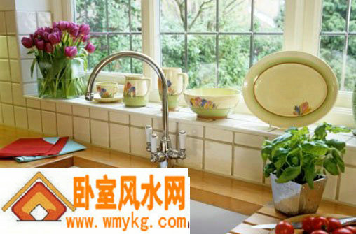 厨房里适合摆放什么花草