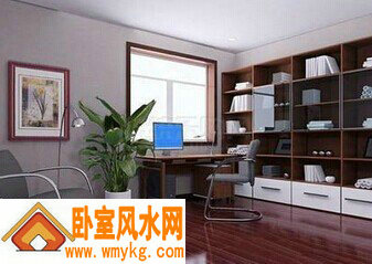 书房摆设什么植物好