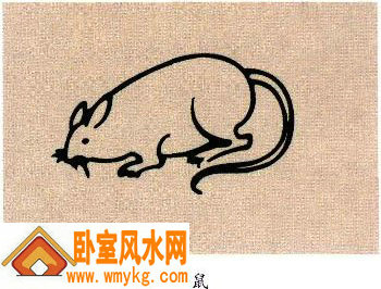 生肖为鼠