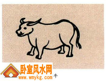 生肖为牛