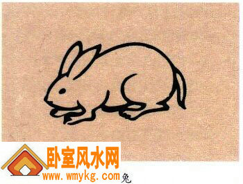 生肖为兔