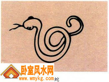 生肖为蛇