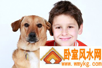 金字旁的男孩名字属鼠
