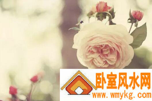 超拽女生的非主流QQ网名
