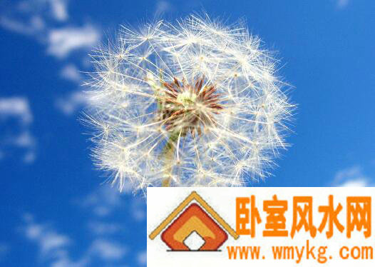 微信名字大全超拉风