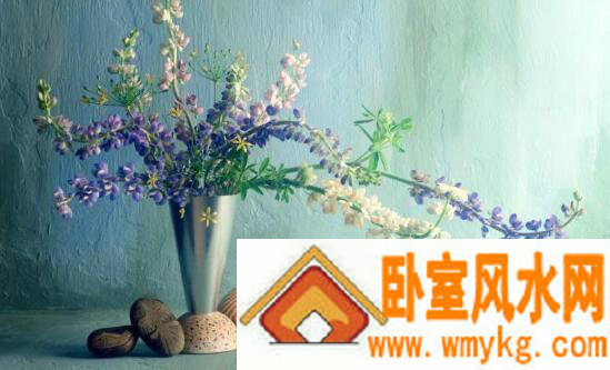 女生网名最新版