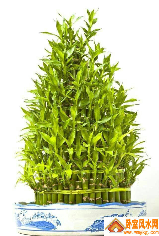 ��Ĺ�Աߵ�¥����ˮ