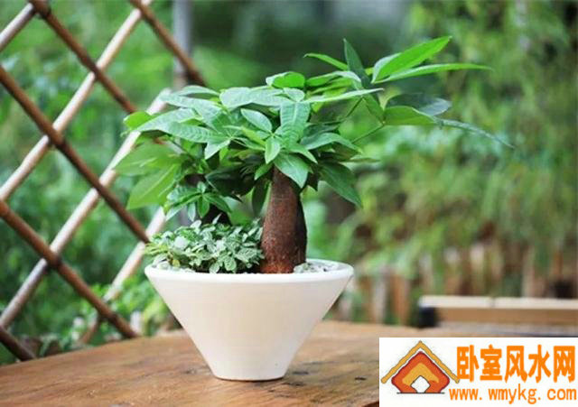 水星落在第七宫 水星落在第七宫