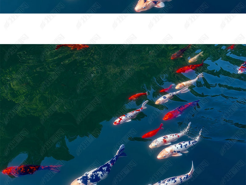 2025年属牛运程 2025年属牛下半年每月运程 2025年属牛运程 2025年属牛下半年每月运程