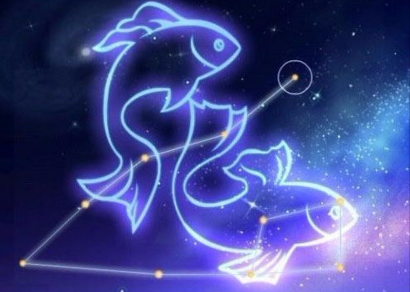 �ϻ���΢�������⼪�ײ�ѯ �ϻ����м���ʲô��˼