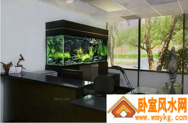 2019年属鼠的每月运势及运程,属鼠2019年运势 2019年属鼠的每月运势及运程,属鼠2019年运势