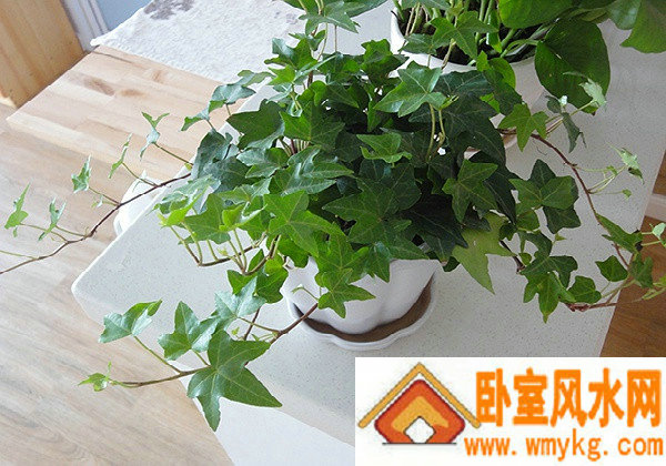 阴宅动土怎么选日子 阴宅动土怎么选日子