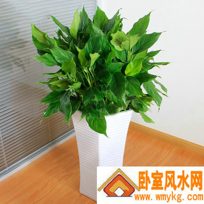 测一测缘分,怎么测试姓名缘分- 测一测缘分,怎么测试姓名缘分-