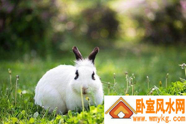 房子周边阴宅太多怎么办 房子周边阴宅太多怎么办
