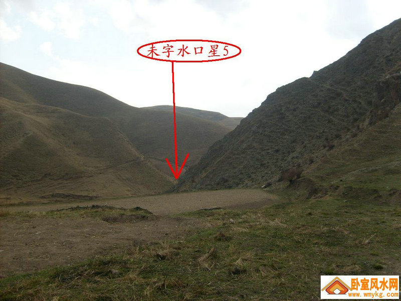 张静初个人资料简介及 张静初个人资料简介及