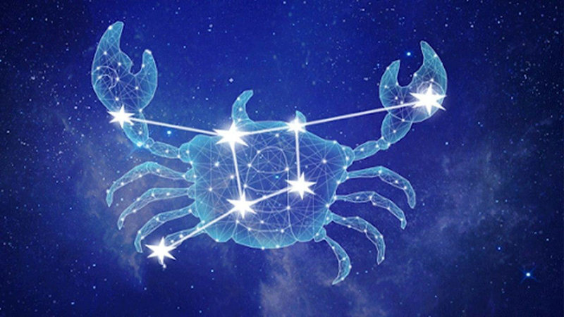 �μ�����������ʲô��˼