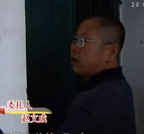 99年属兔2019运势,属兔2019运势 99年属兔2019运势,属兔2019运势