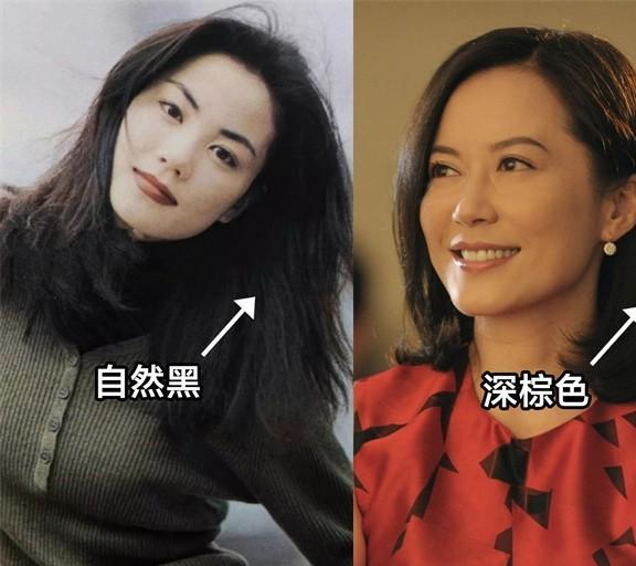 梅婷个人资料简介不惑之旅 梅婷个人资料简介不惑之旅