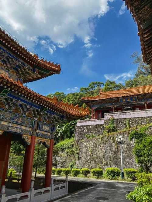 狮子座运势月份运势 今日狮子座运势10月 狮子座运势月份运势 今日狮子座运势10月
