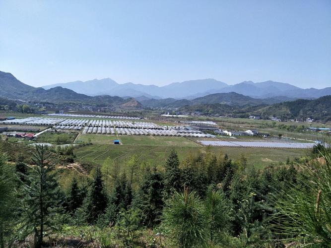 木星落在第九宫 木星落在第九宫