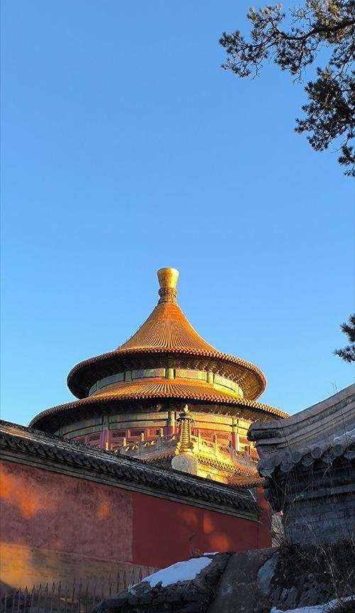 小时候和长大一个德行的生肖 小时候和长大一个德行的生肖